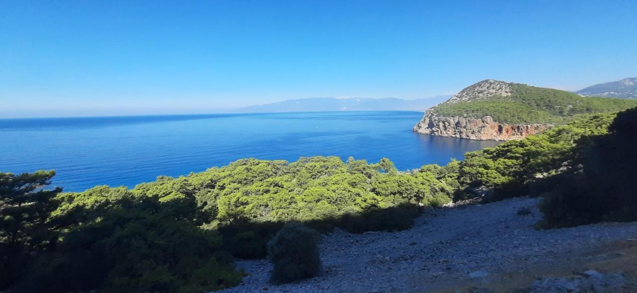 Case de vacanță Gelidonia Fenerium *