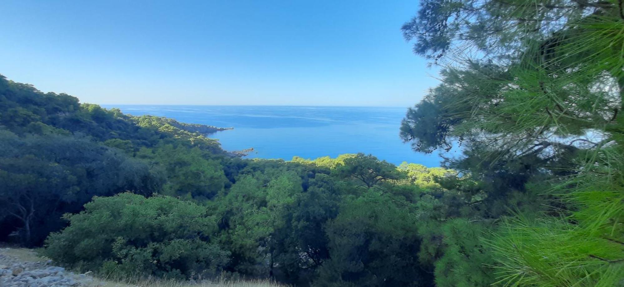 Gelidonia Fenerium Case de vacanță