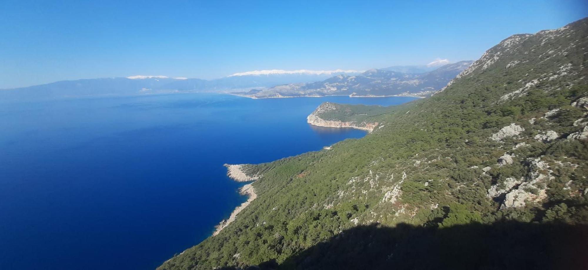 Gelidonia Fenerium Case de vacanță