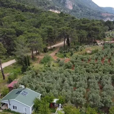 Gelidonia Fenerium Holiday Home Antalya Exterior photo